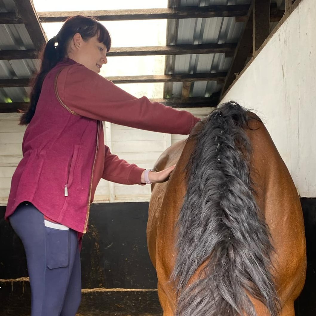 Equine Physiotherapy OP Veterinary Physiotherapist