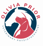 Olivia Prior Veterinary Physiotherapist