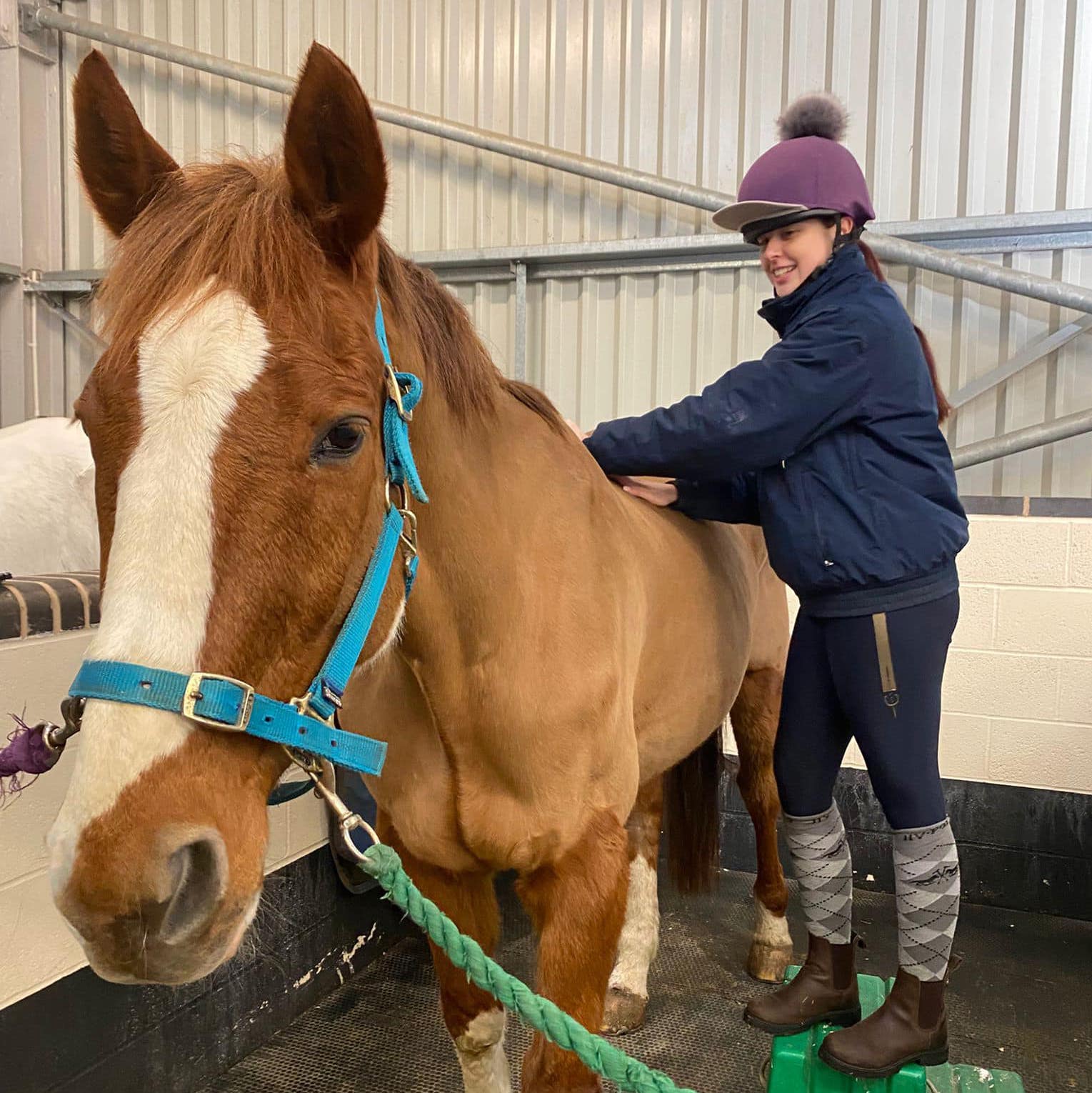 olivia prior horse & dog veterinary physiotherapist based Lancashire