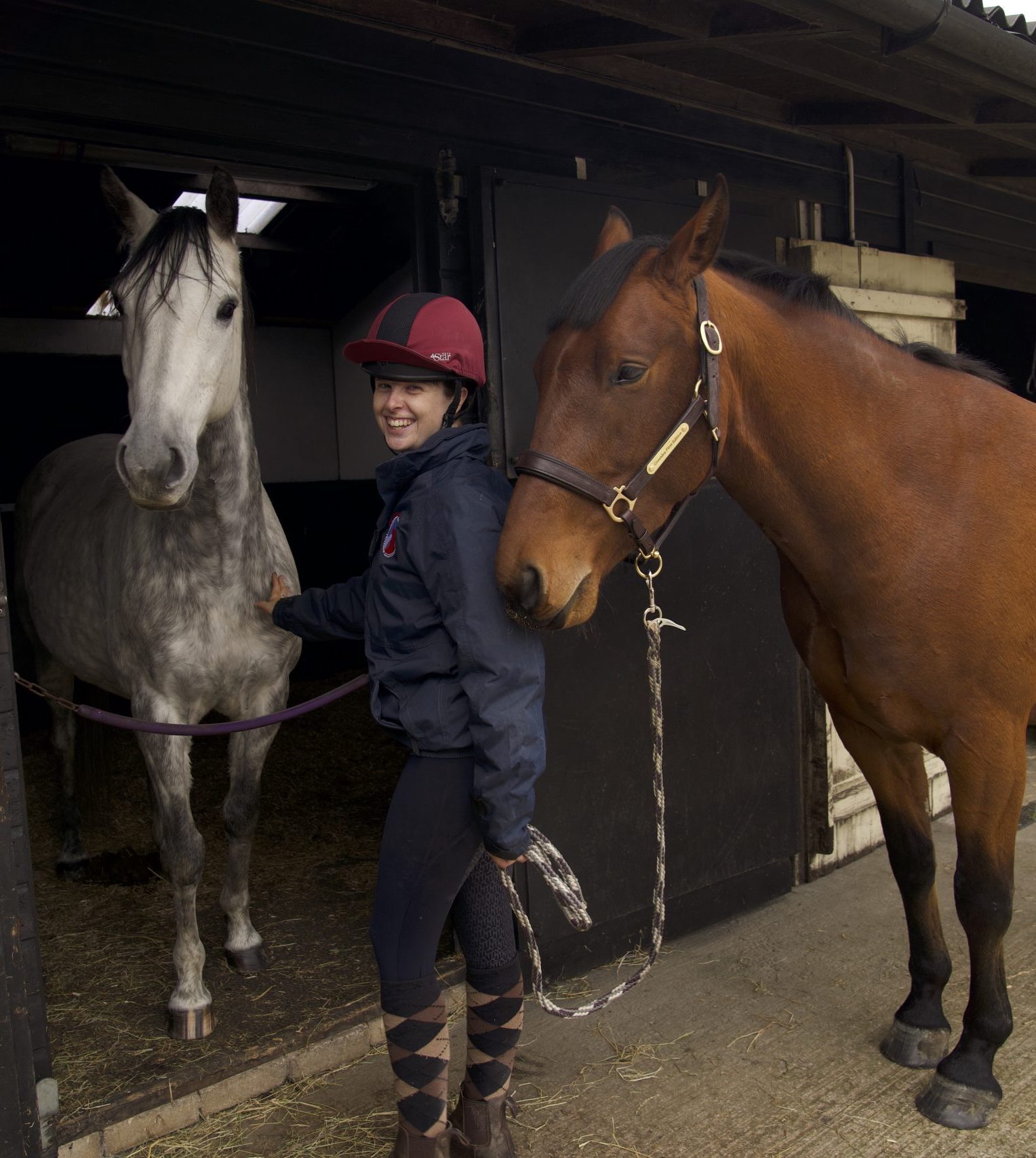 Olivia Prior Veterinary physiotherapist | Lancashire horse and dog physio